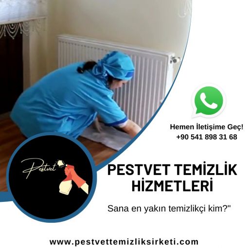  ev temizliği şirketi