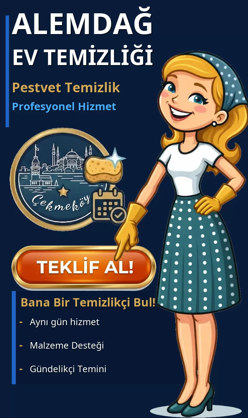 Alemdağ Ev Temizliği - Pestvet Temizlik