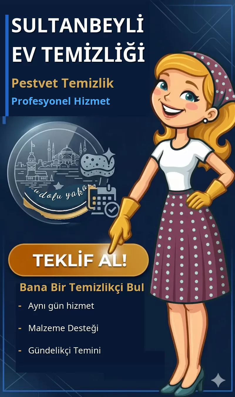 Sultanbeyli Ev Temizliği - Pestvet Temizlik